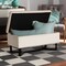 Baxton Studio Esther Modern and Contemporary Beige Velvet Fabric and Dark Brown Finished Wood Storage Ottoman 178-11297-Zoro - alternate 2